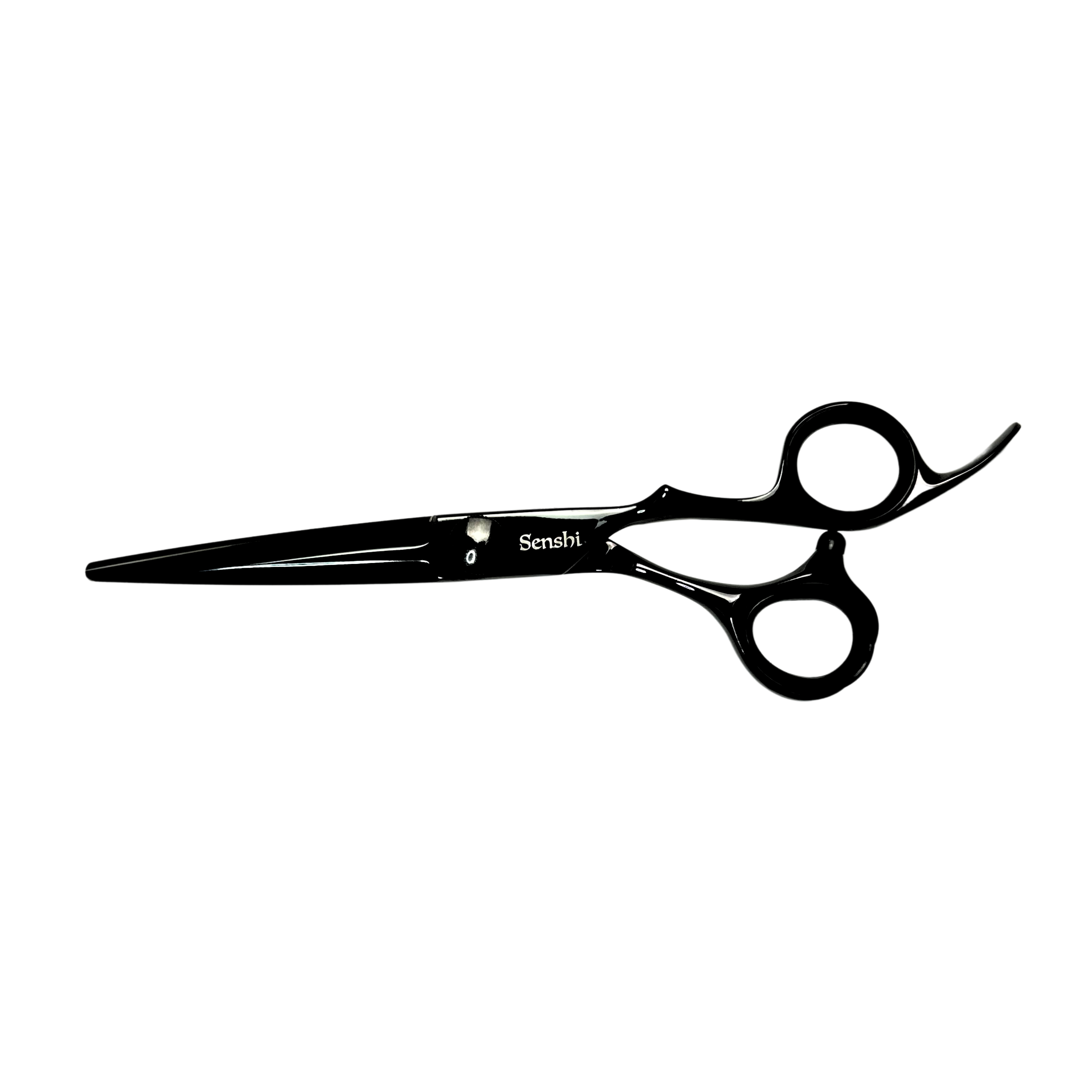 Durasharp 120260 6 Stainless Steel Scissors